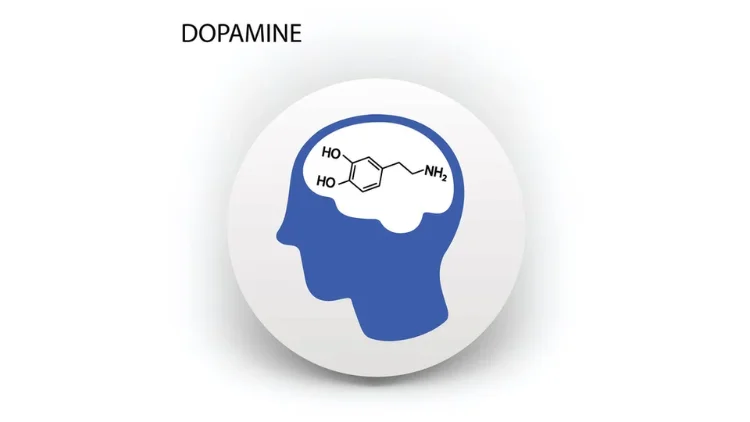 What Is Dopamine?