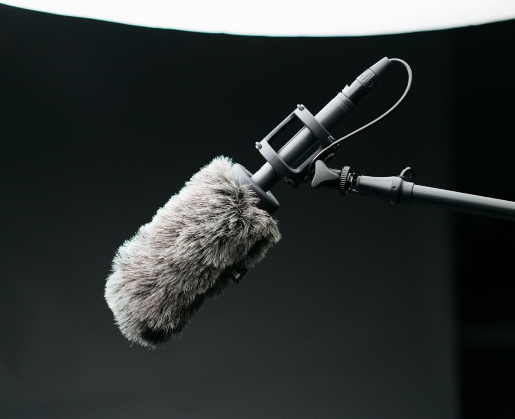 Boom Microphone